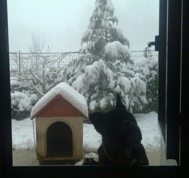 Rudy e la neve