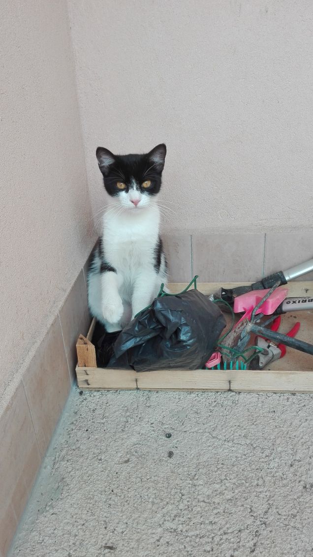 Tutto questo è di mia proprietà :)