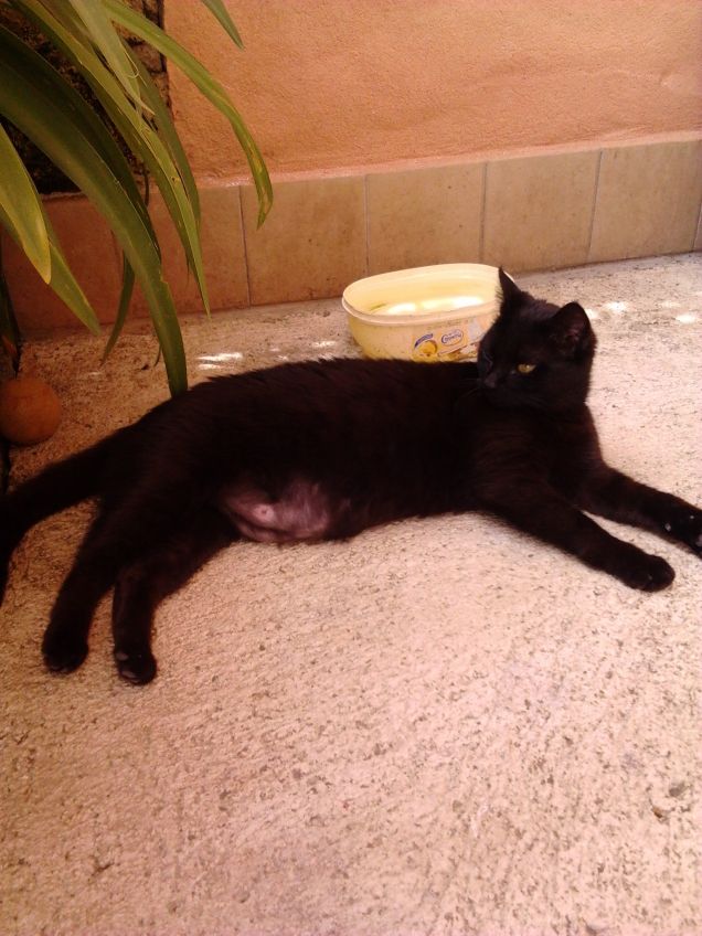 Luna con il suo bellissimo pancione