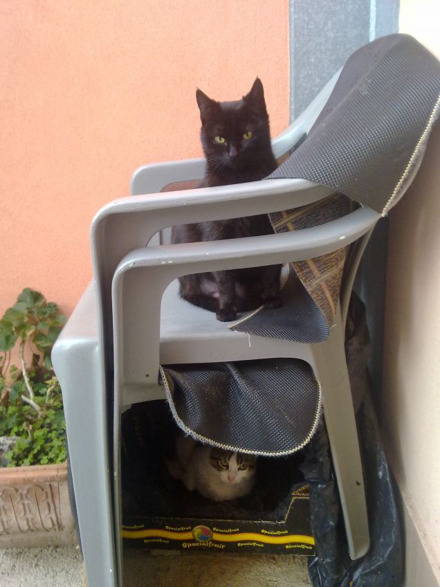 Il nostro castello a due piani :)