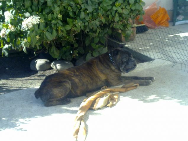 Una vera forza della natura