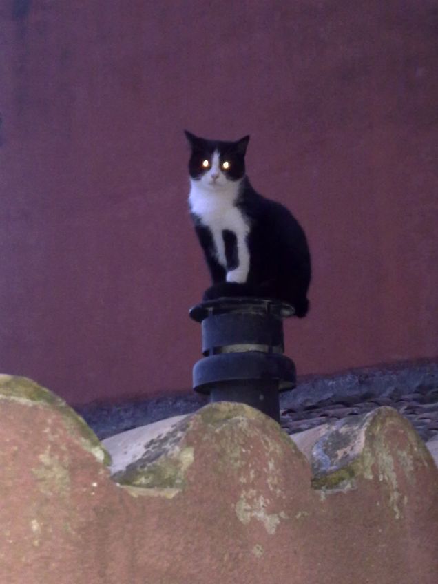 In giro per il mio paese... e guardate chi trovo :)