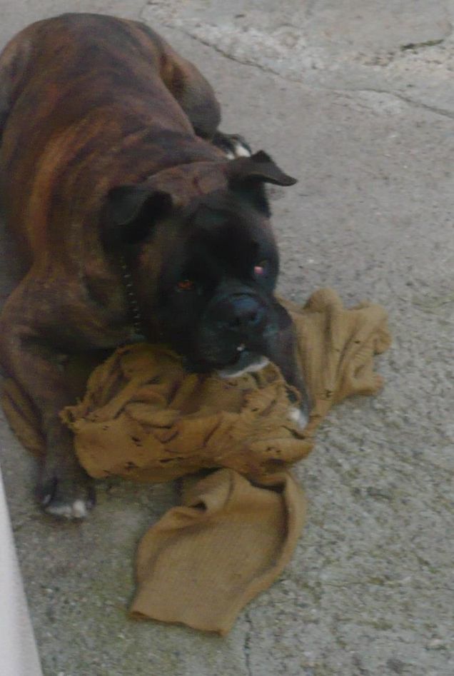 Rudy a tutta energia! :D