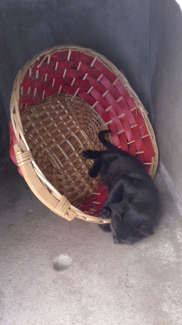 Salem tieniti forte!!! :D