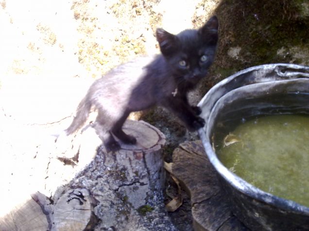 Nerina ti vuoi fare il bagnetto? :)