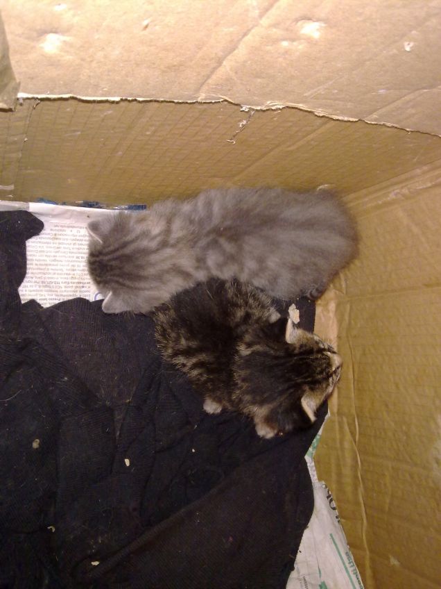 Ma adesso come si fa a uscire da qua?! :)