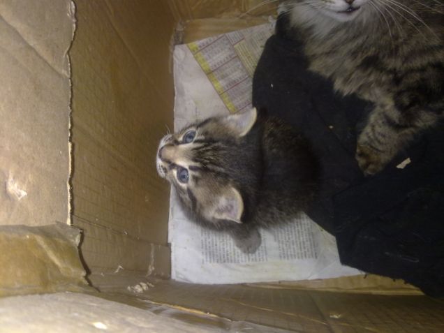 Anche tu sei proprio bello