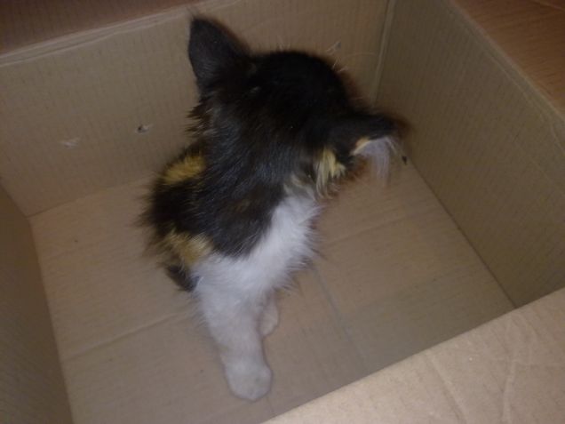 Mi stai dando le spalle? :)