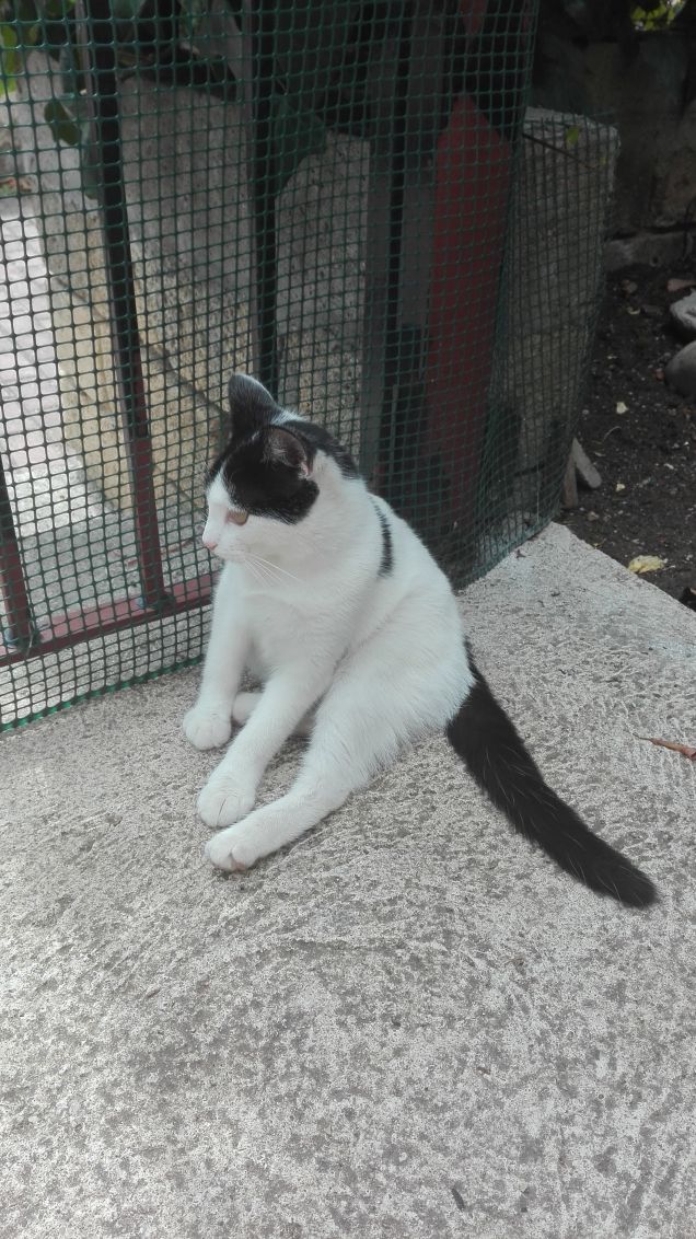 Seduta come una persona