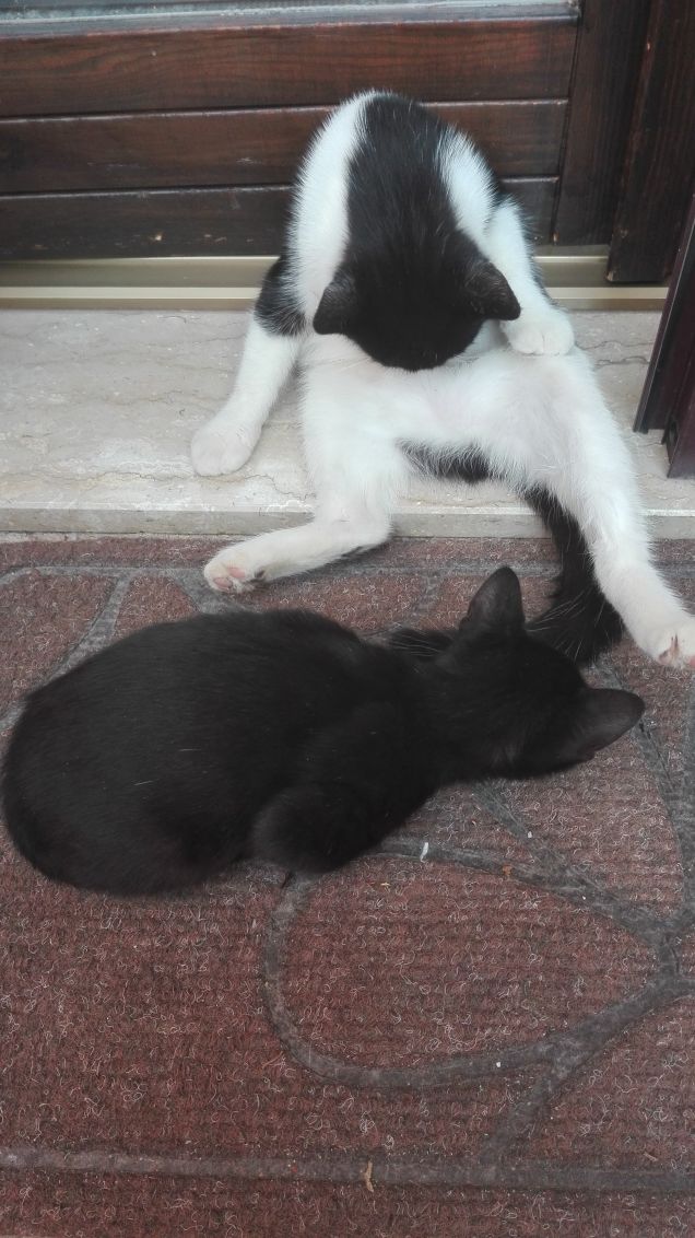 Un po' di privacy, please