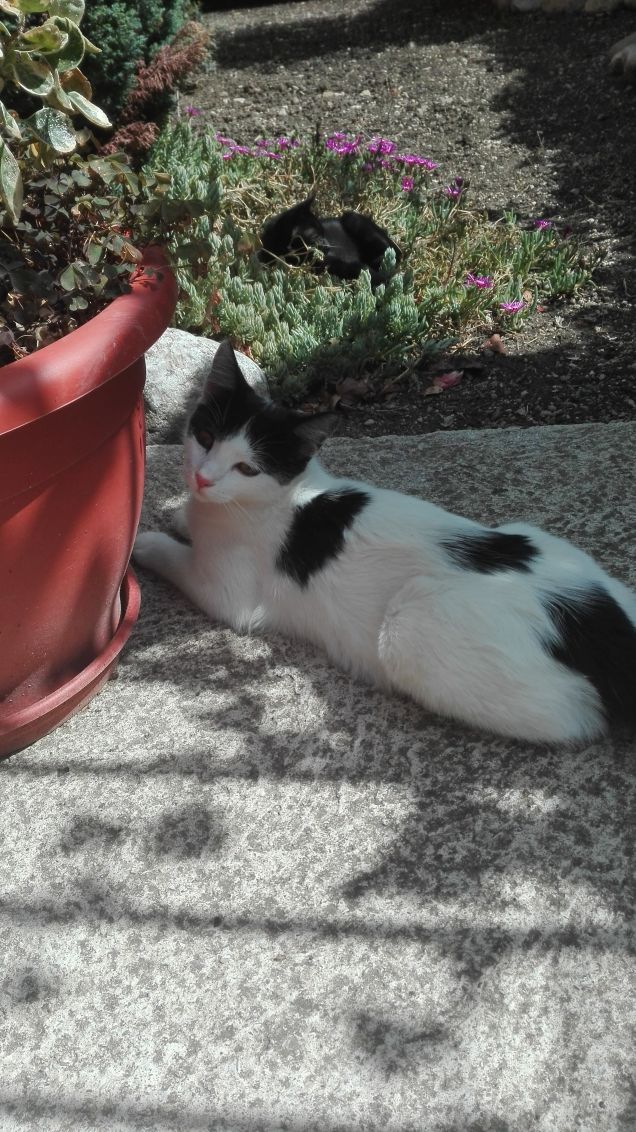 Zoe e in fondo Salem