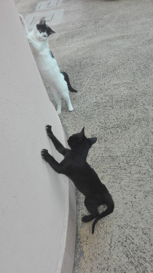 Lezione n°1: stretching, allungare bene i muscoli