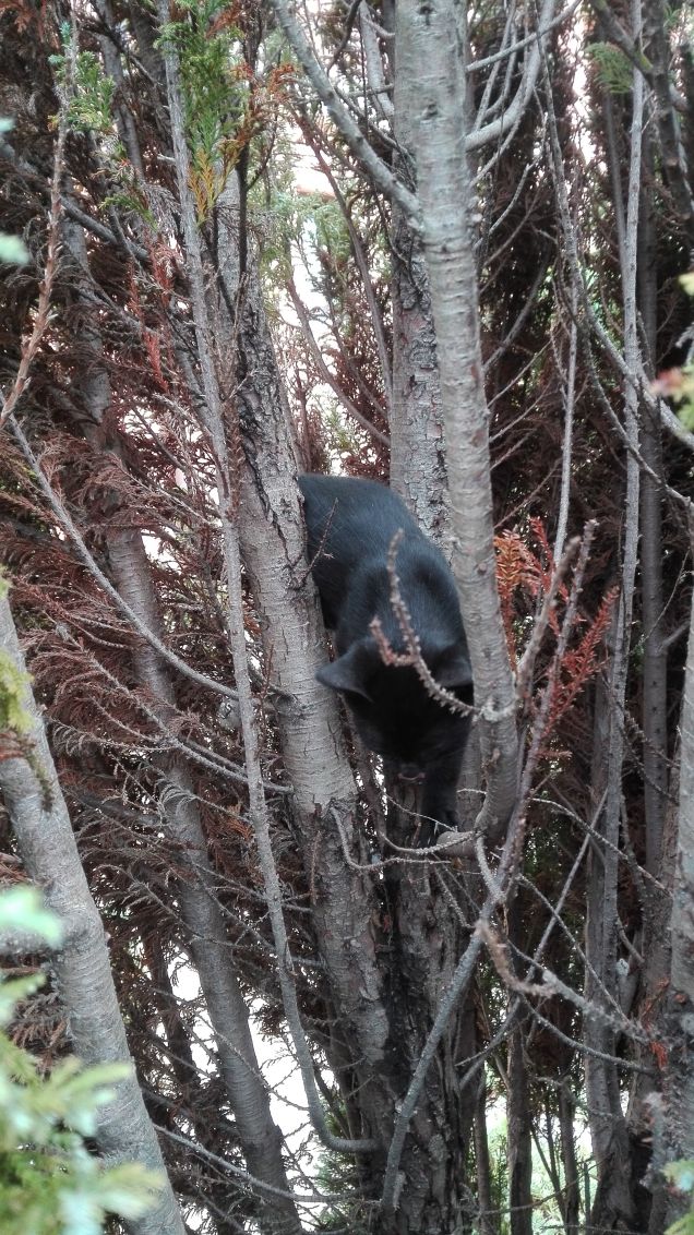 Mi vedete? Sono qua su! :)