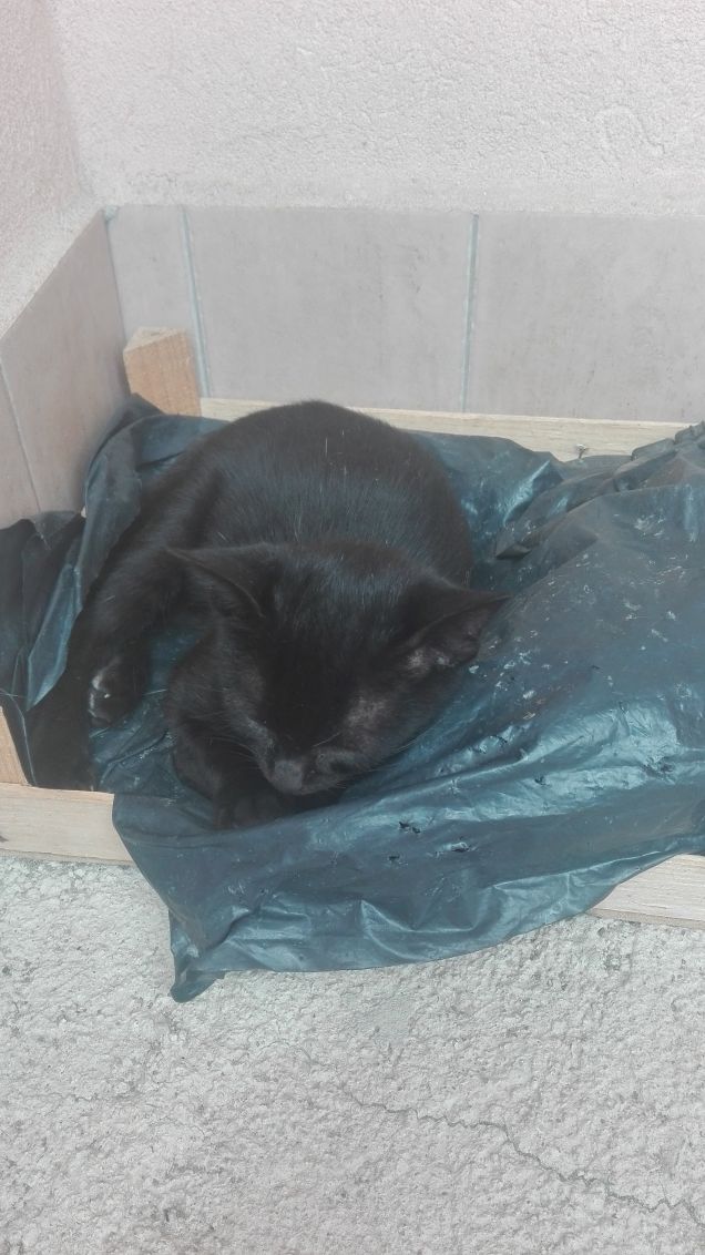 Mimetismo riuscito ;)