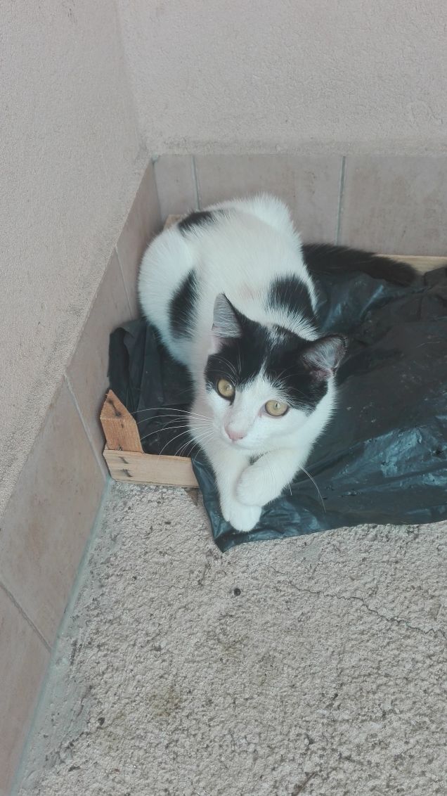 Zoe apparentemente tranquilla :)