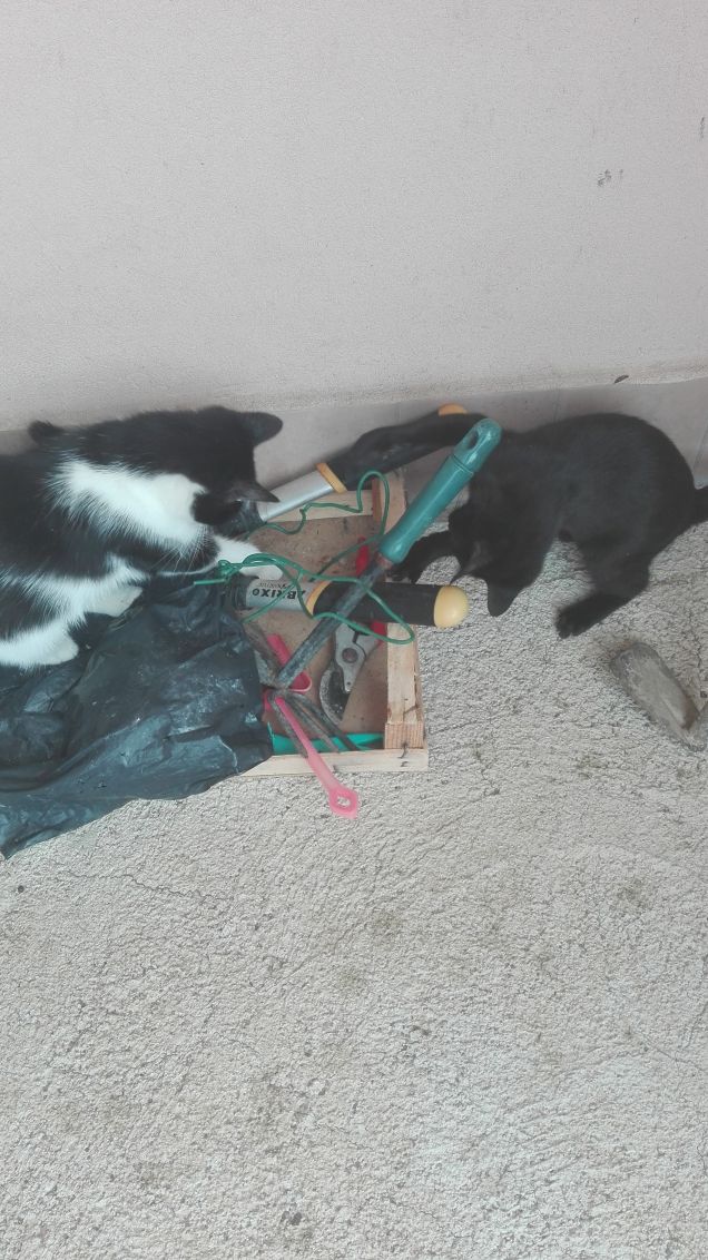 Distruggiamo tutti gli attrezzi!