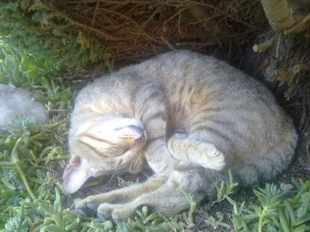 Shhh non disturbare :D