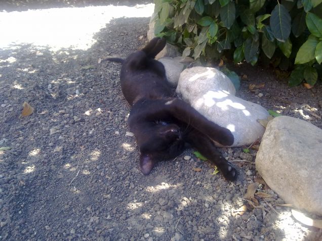 Dormendo come un vampiro :)