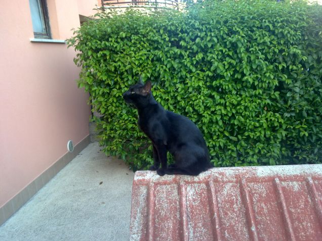 Osservando l'orizzonte