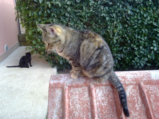 Questione di prospettiva