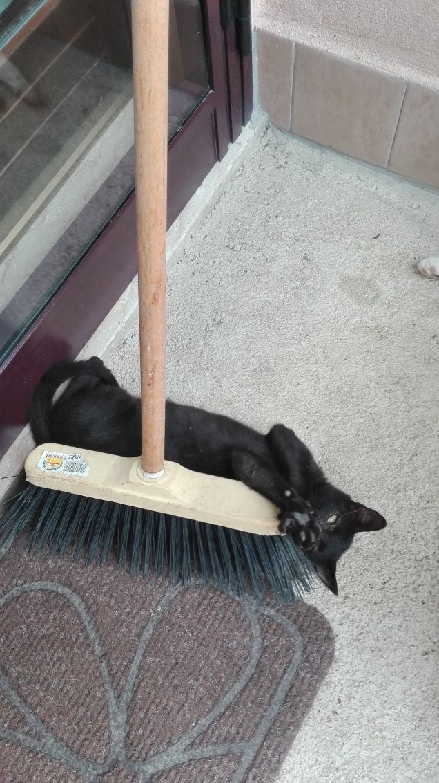 Attenzione alla scopa!