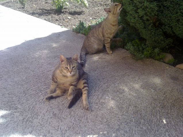 Una posizione non proprio da signorina