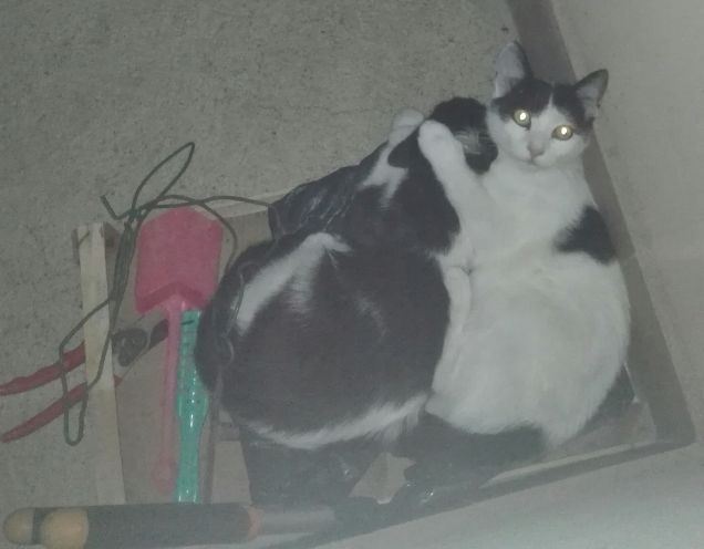 Io mi addormento abbracciata al mio fratellino ❤