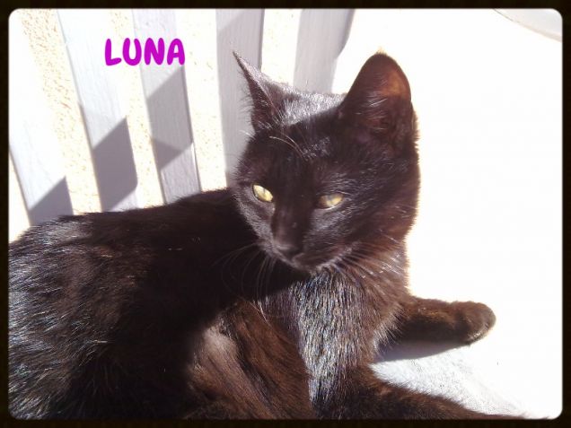 Luna