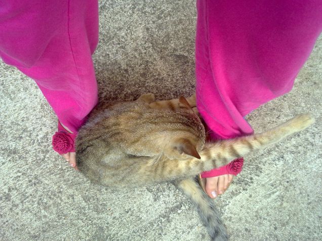 Ma ci si può lavare sopra i miei piedi?!