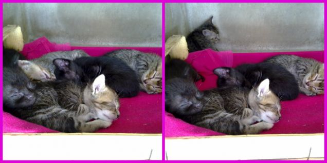 Trova le differenze :)