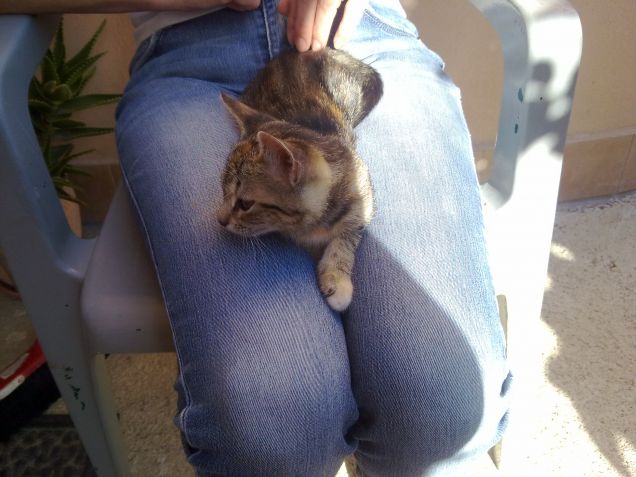 Ciotolina da piccola sulle gambe di mia mamma