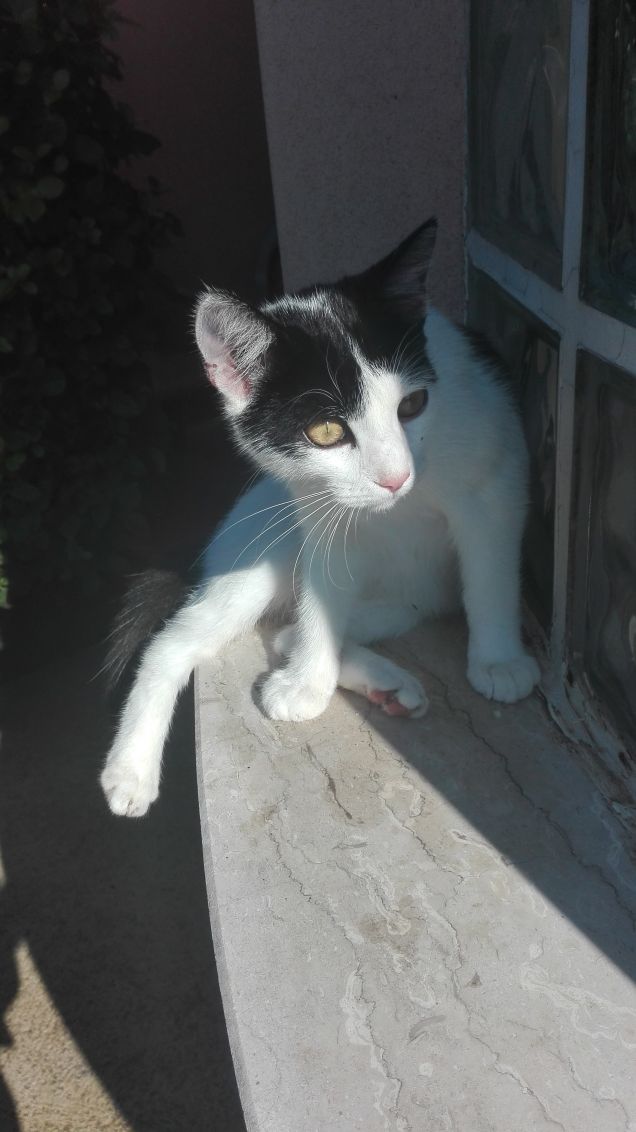 Zoe: sto vedendo una cosa che tu non puoi vedere...