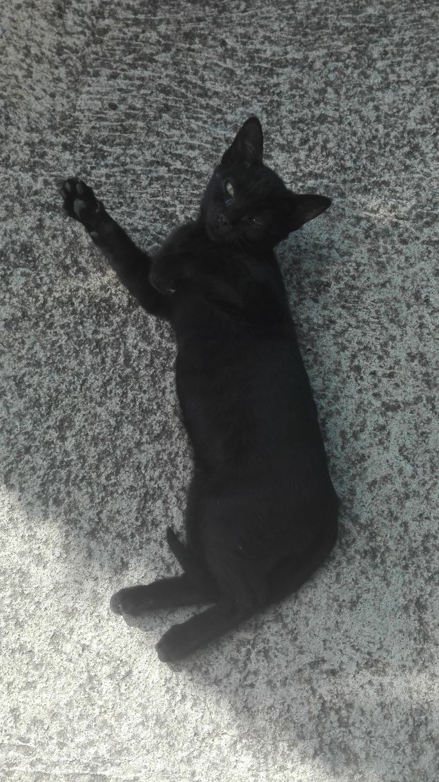 Buongiorno a-mici!!! :)