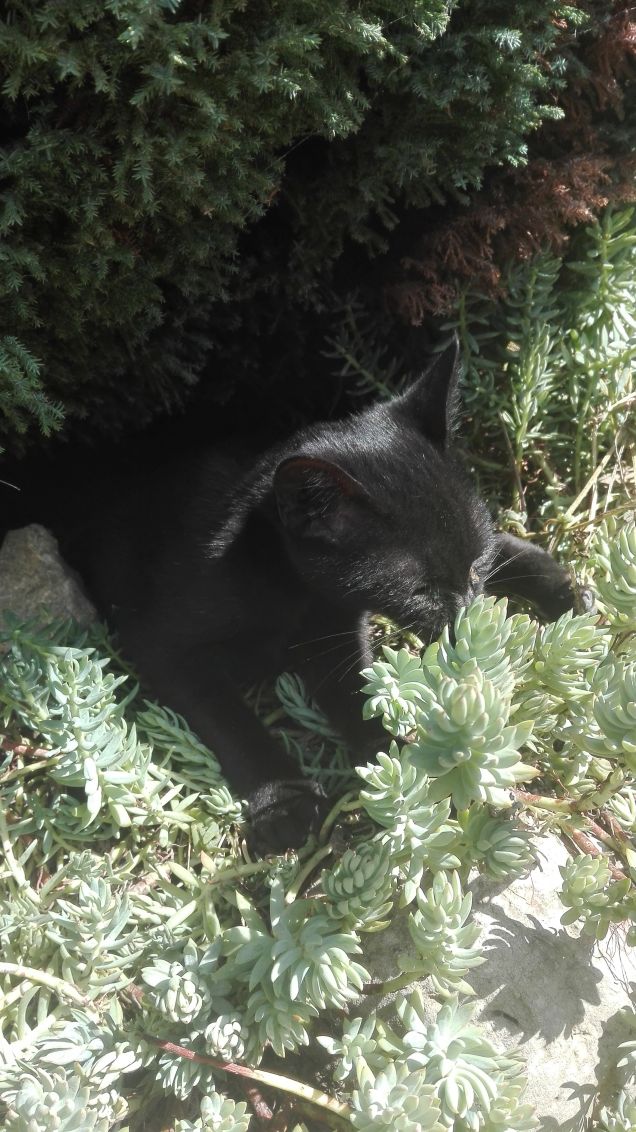 Adoro il profumo della natura