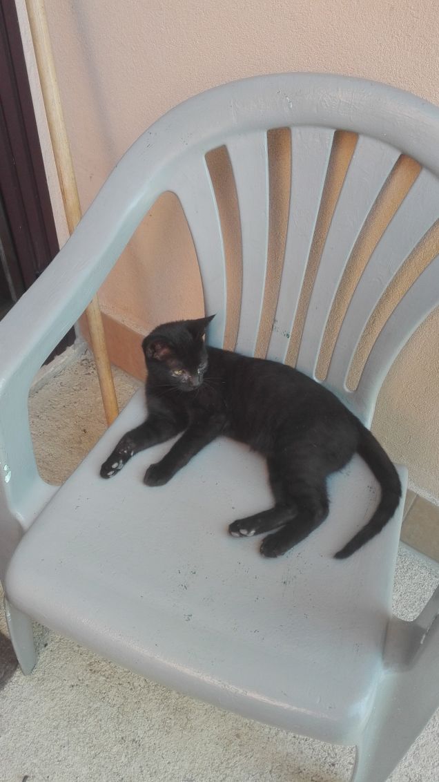 Salem ogni tanto è tranquillo... Anche se non per molto...