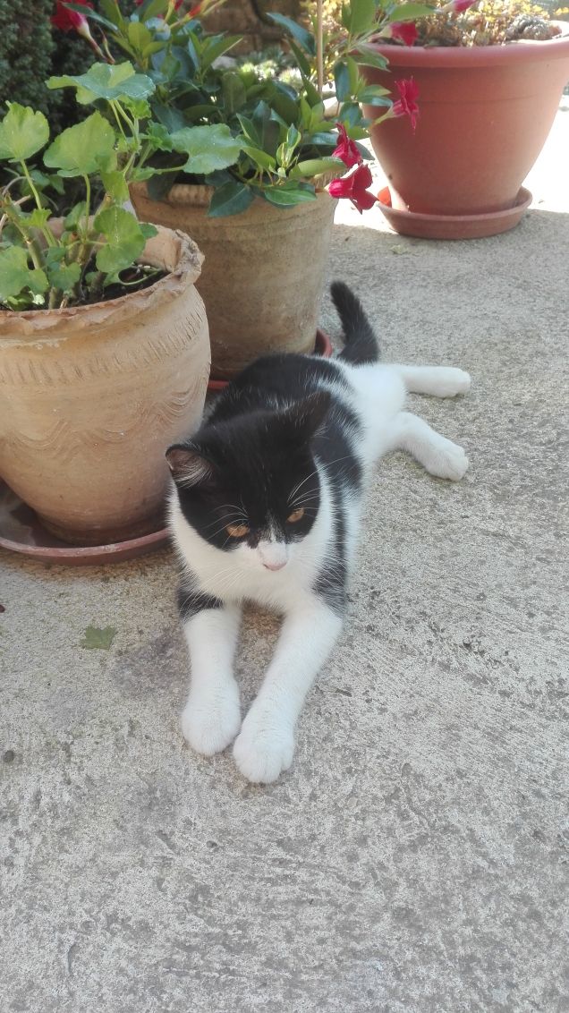 Finalmente un po' di tranquillità, posso rilassarmi