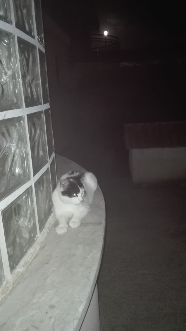 Stasera c'è la luna piena