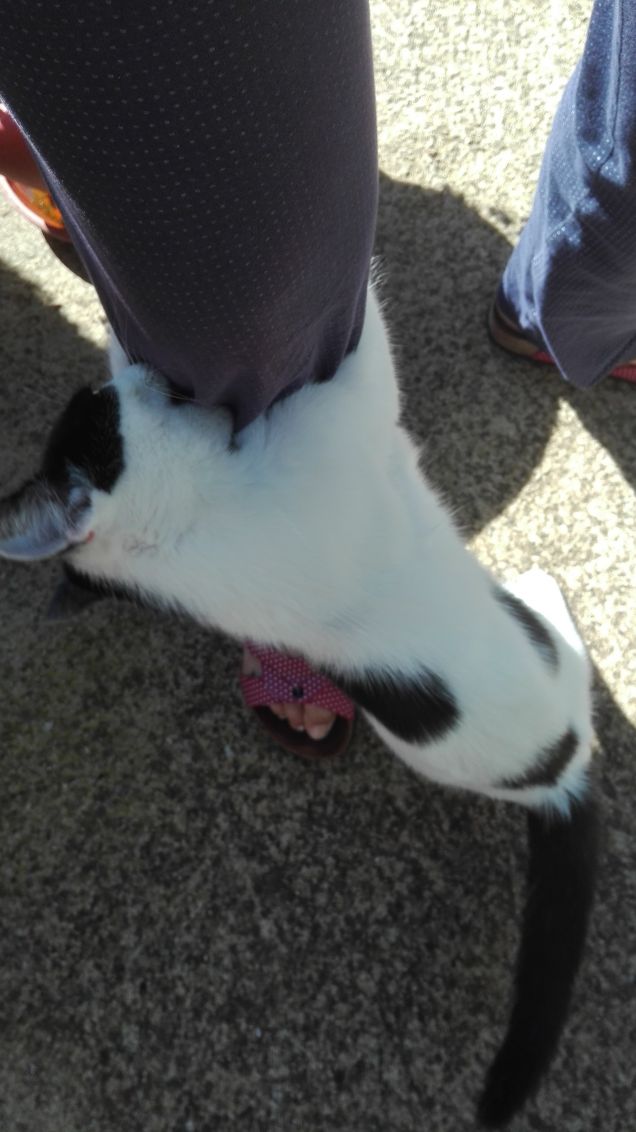 Un buongiorno così, pieno di affetto :)