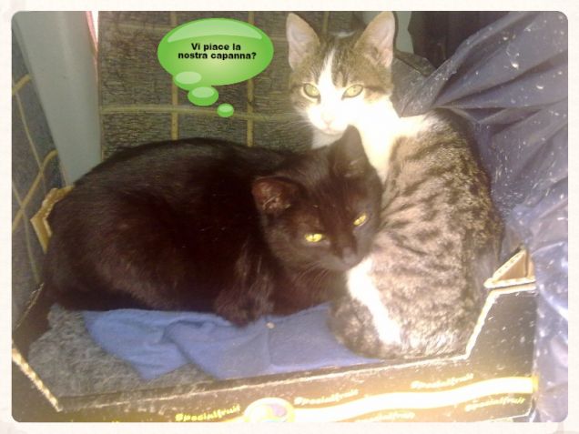 Due cuori e una capanna