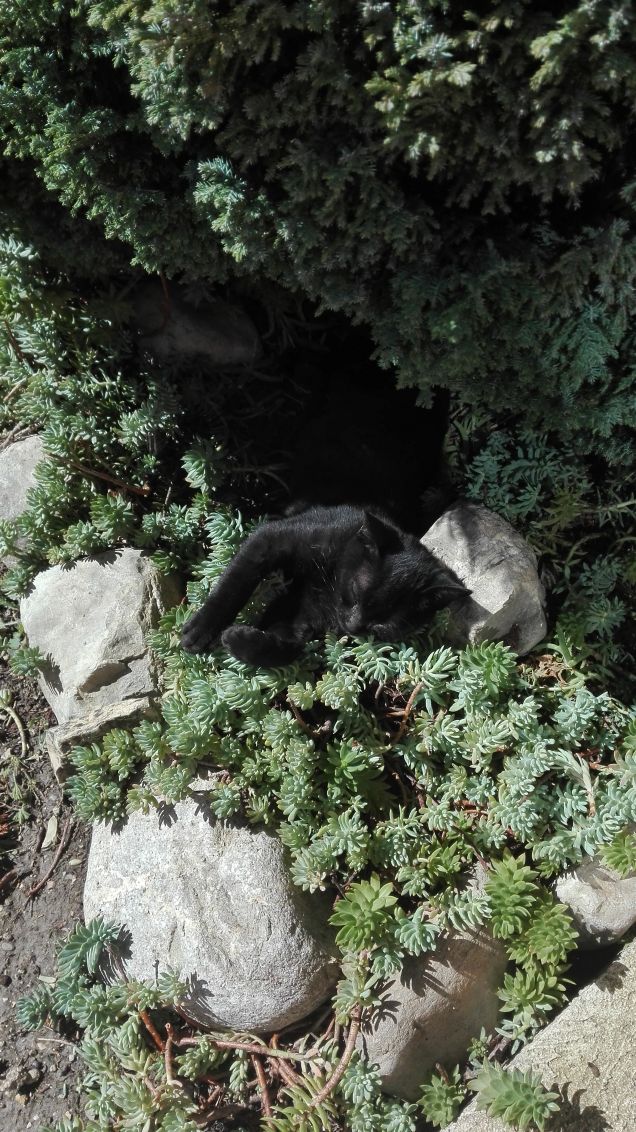 Buongiorno da Salem ❤