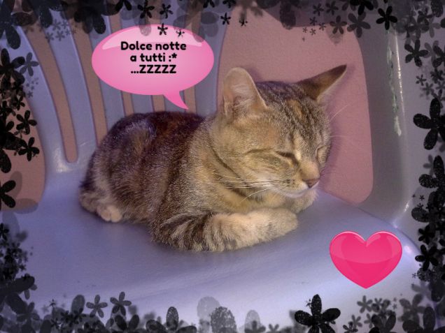 Buonanotte da Ciotolina