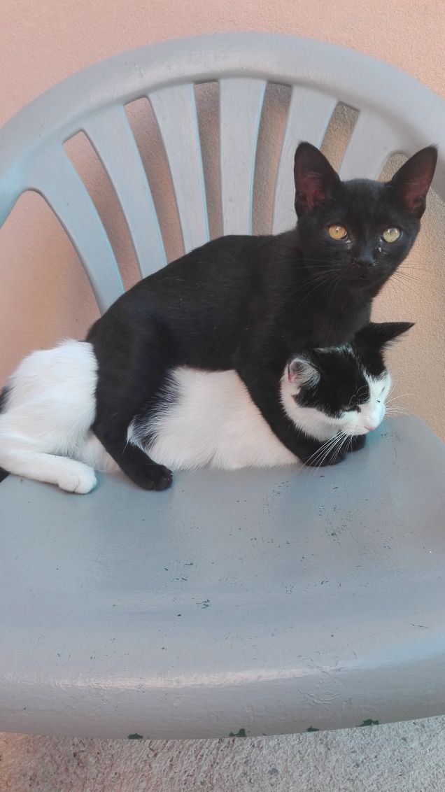 Il mio cuscino morbidoso