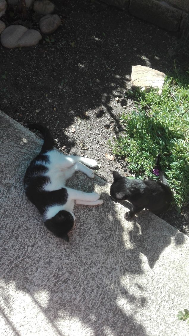 Chi farà la prima mossa?