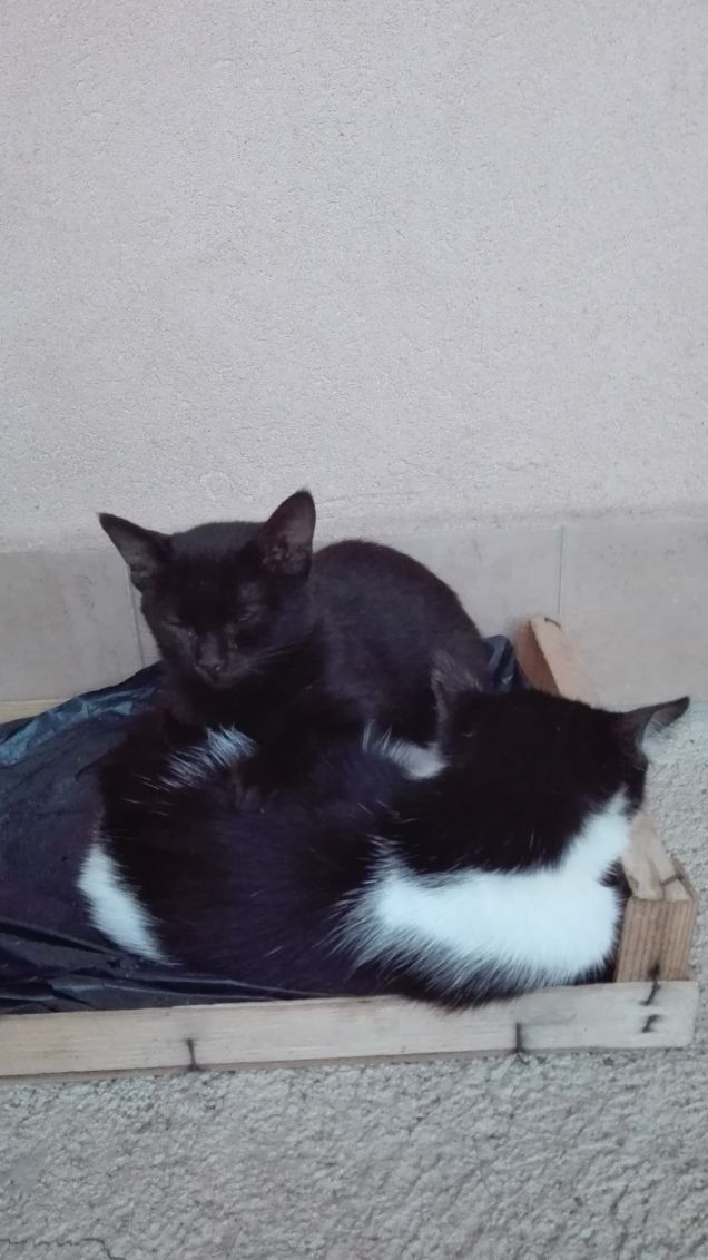 Noi dormiamo sempre vicini vicini