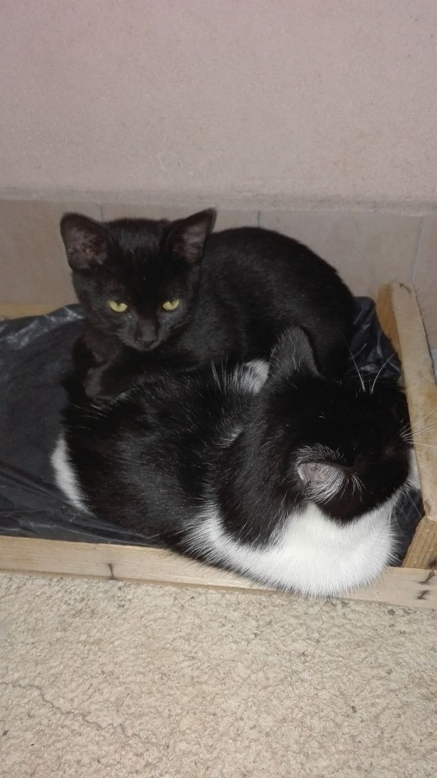 Siamo inseparabili :)