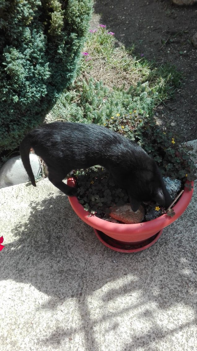 Cosa stai cercando?! :D