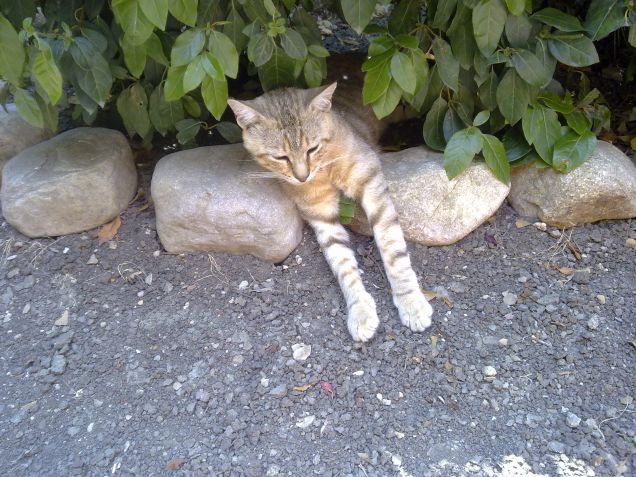 Un posto appropriato per dormire :)