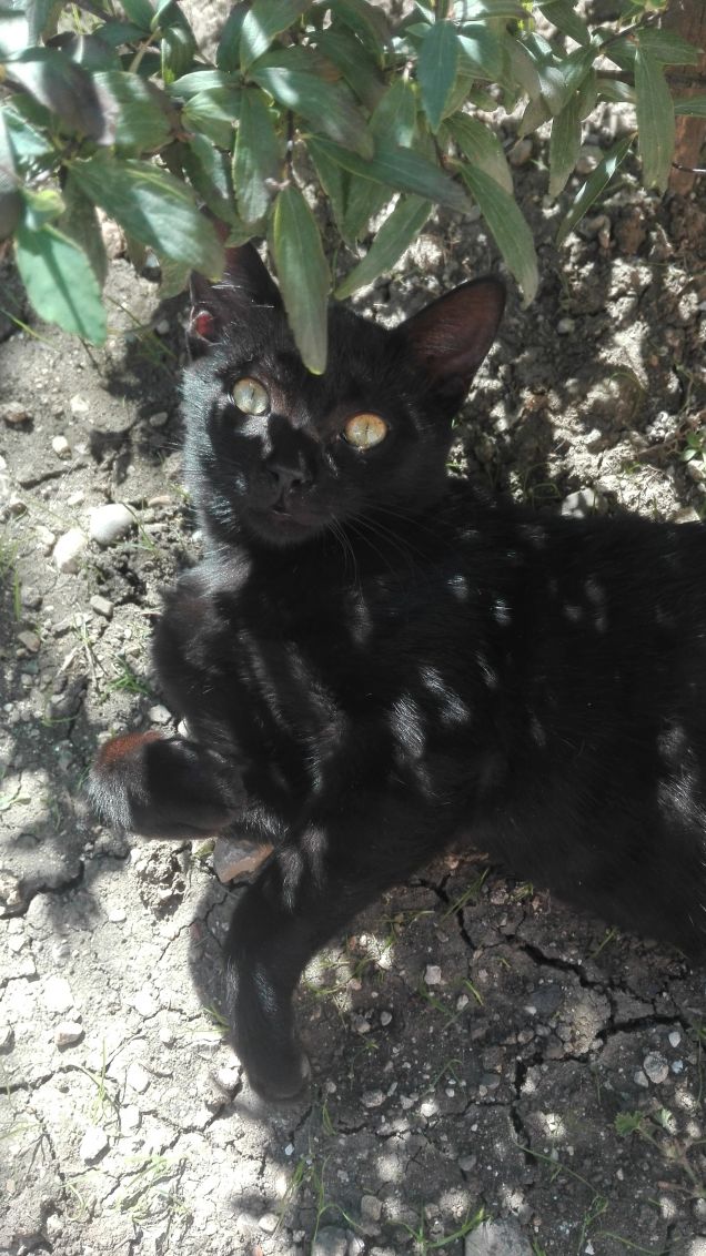 Stai diventando sempre più bello 