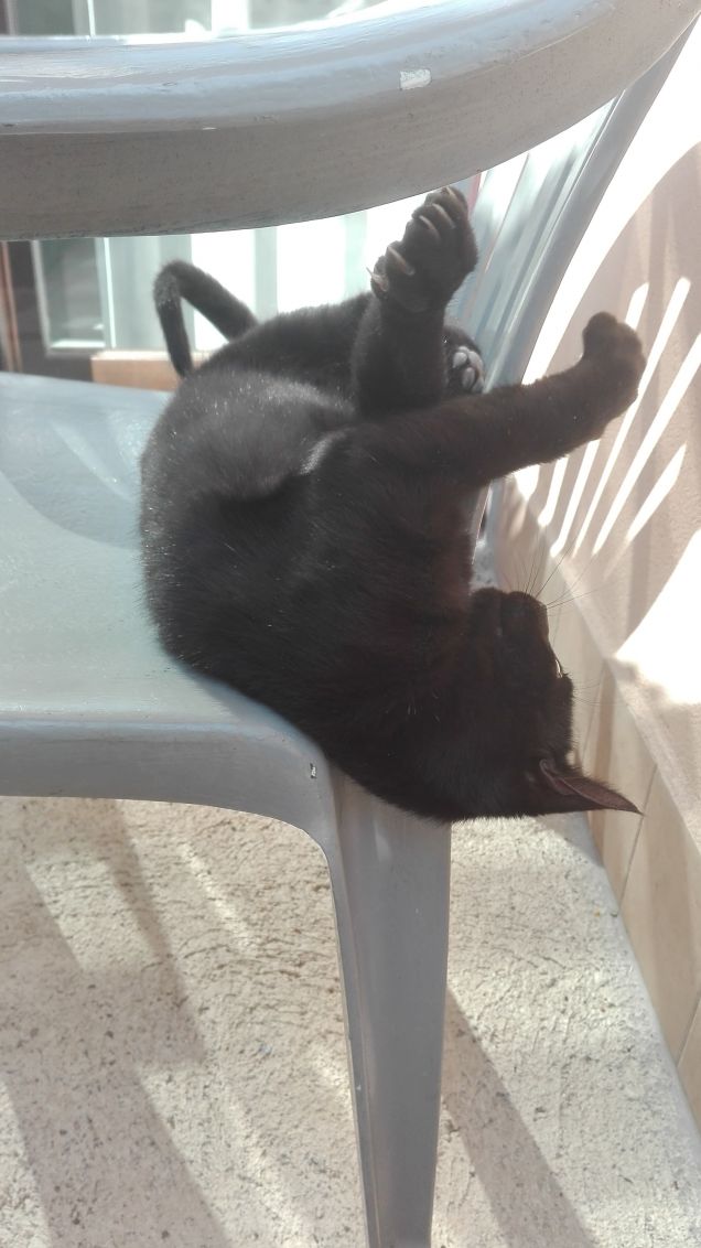 Salem se continui ad arrotolarti rischi di cadere