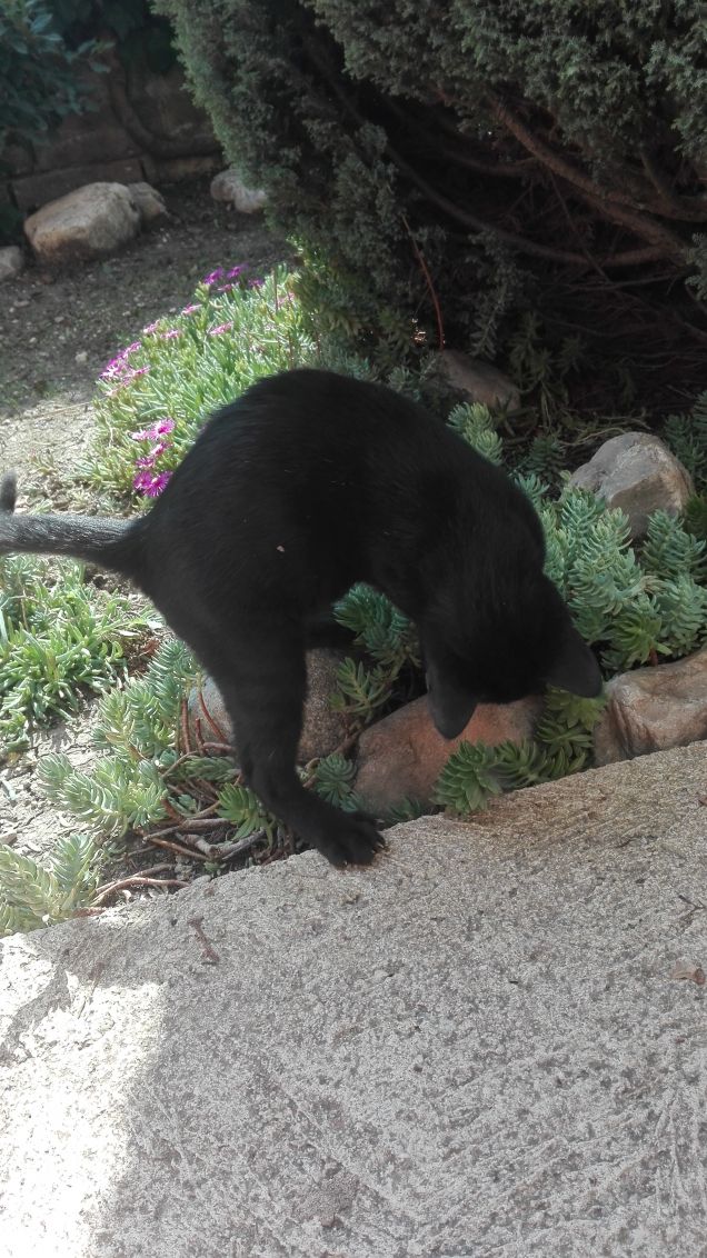 Continua a cercare sarai più fortunato :)